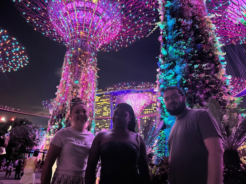 magnificent light show at the Gardens by the Bay