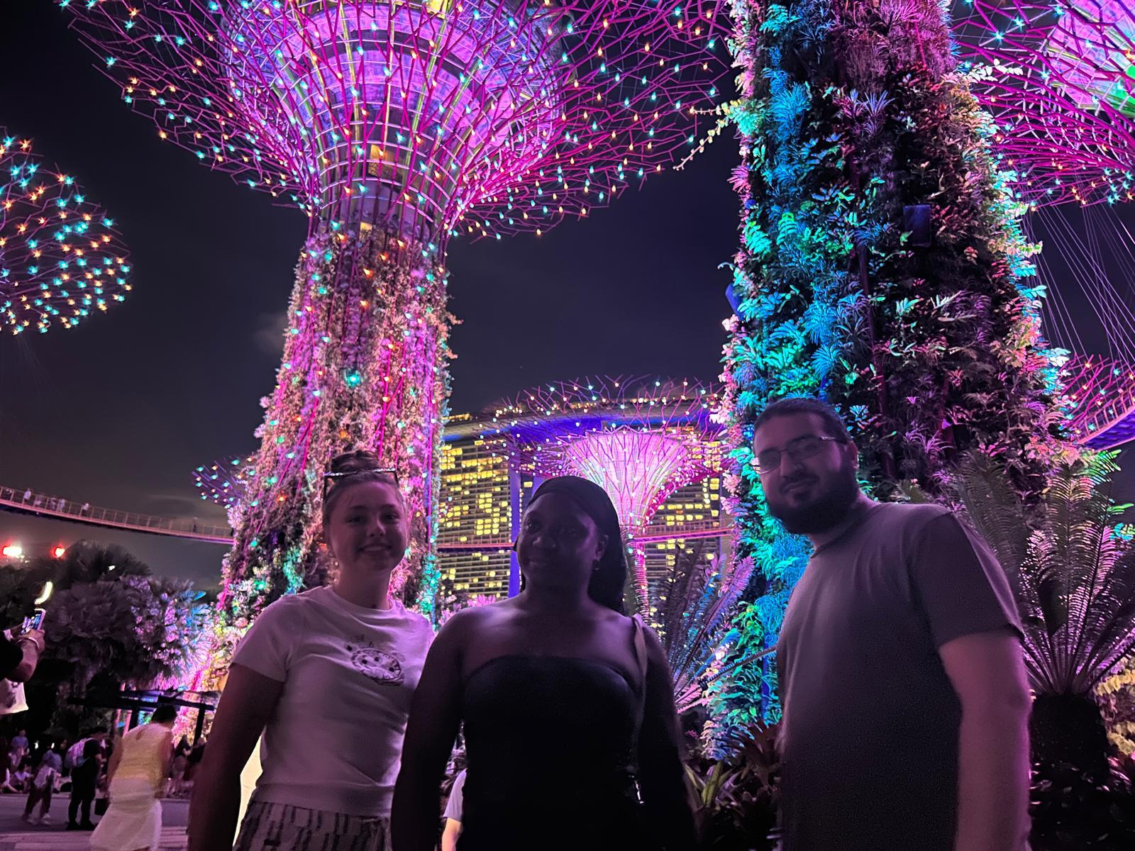 magnificent light show at the Gardens by the Bay