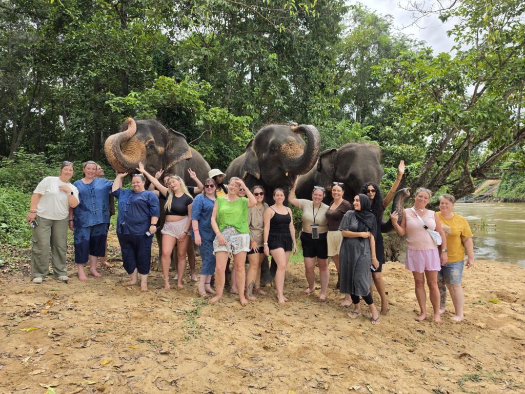 elephant sanctuary in Thailand